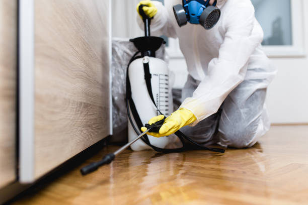 Best Affordable Pest Control Services  in White Knoll, SC