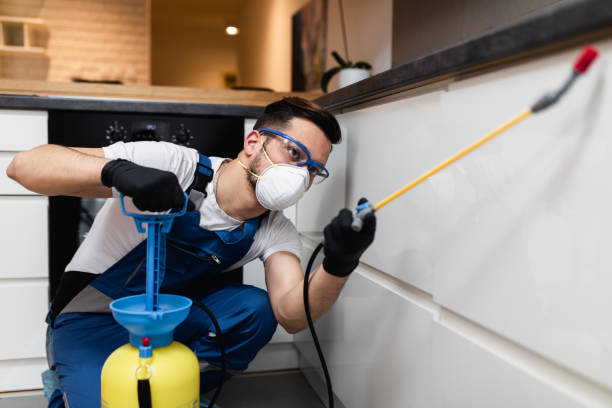 Best Pest Control for Homes  in White Knoll, SC