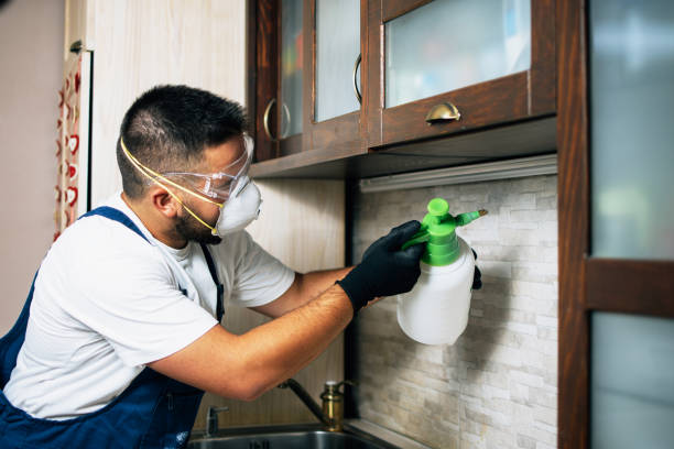 Best Exterminator Services  in White Knoll, SC
