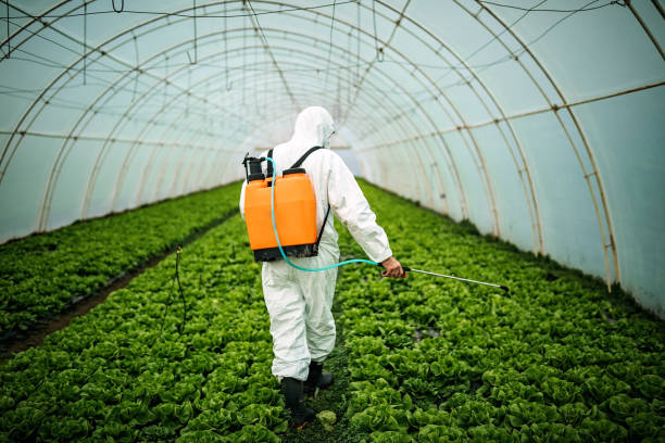 Professional Pest Control in White Knoll, SC