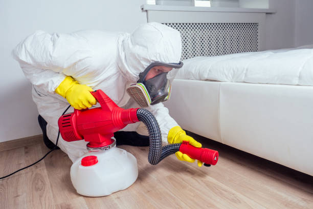 Best Insect Control  in White Knoll, SC