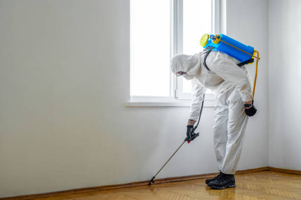 Best Pest Prevention Services  in White Knoll, SC