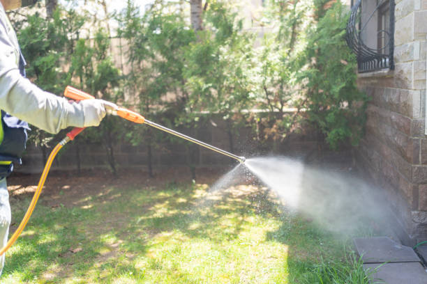 Best Emergency Pest Control  in White Knoll, SC
