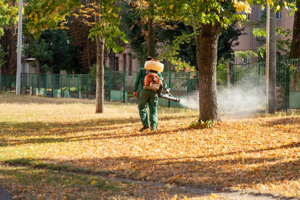 Best Best Pest Control Companies  in White Knoll, SC
