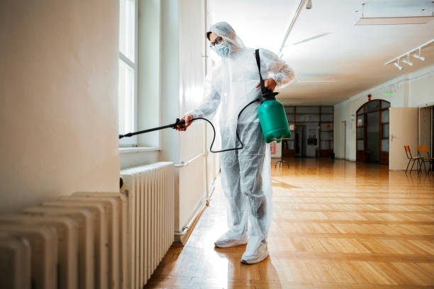 Best Flea Control Services  in White Knoll, SC