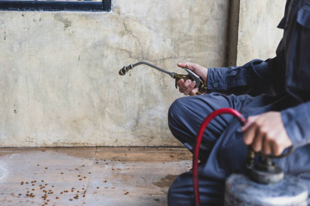 Best Affordable Pest Control Services  in White Knoll, SC